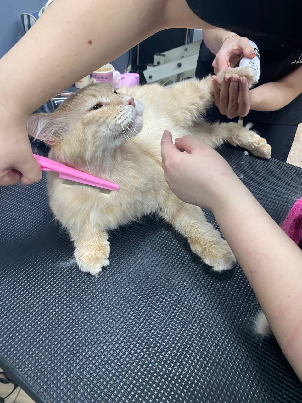 Товарищи! К сожалению, мы вынуждены прибегнуть к тому, что Игнатий не очень одобряет, но другого варианта нет. Это касается больше не блога, а быта четы Цукергохеров. Но вариантов у нас нет | Сетка — социальная сеть от hh.ru