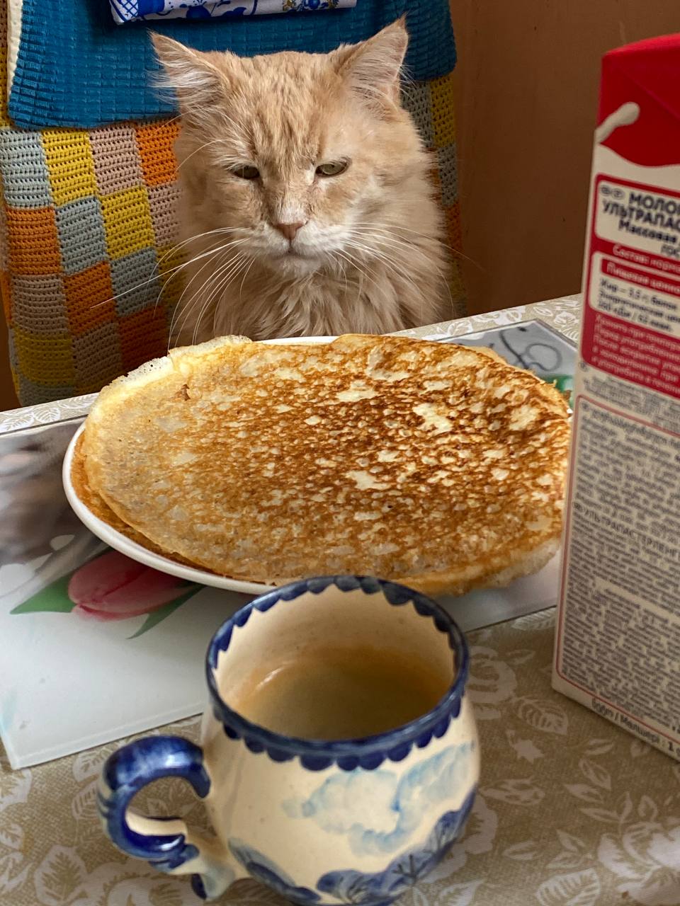 Товарищи! К сожалению, мы вынуждены прибегнуть к тому, что Игнатий не очень одобряет, но другого варианта нет. Это касается больше не блога, а быта четы Цукергохеров. Но вариантов у нас нет | Сетка — социальная сеть от hh.ru