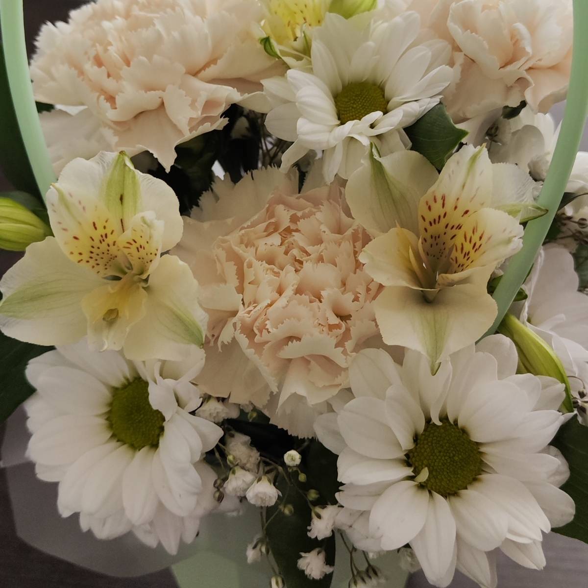 Маргарита Губко