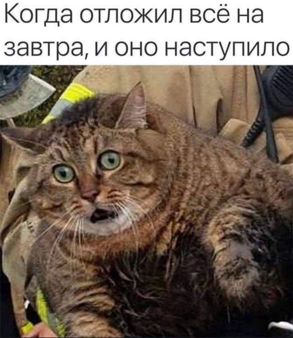Доброго утра | Сетка — социальная сеть от hh.ru
