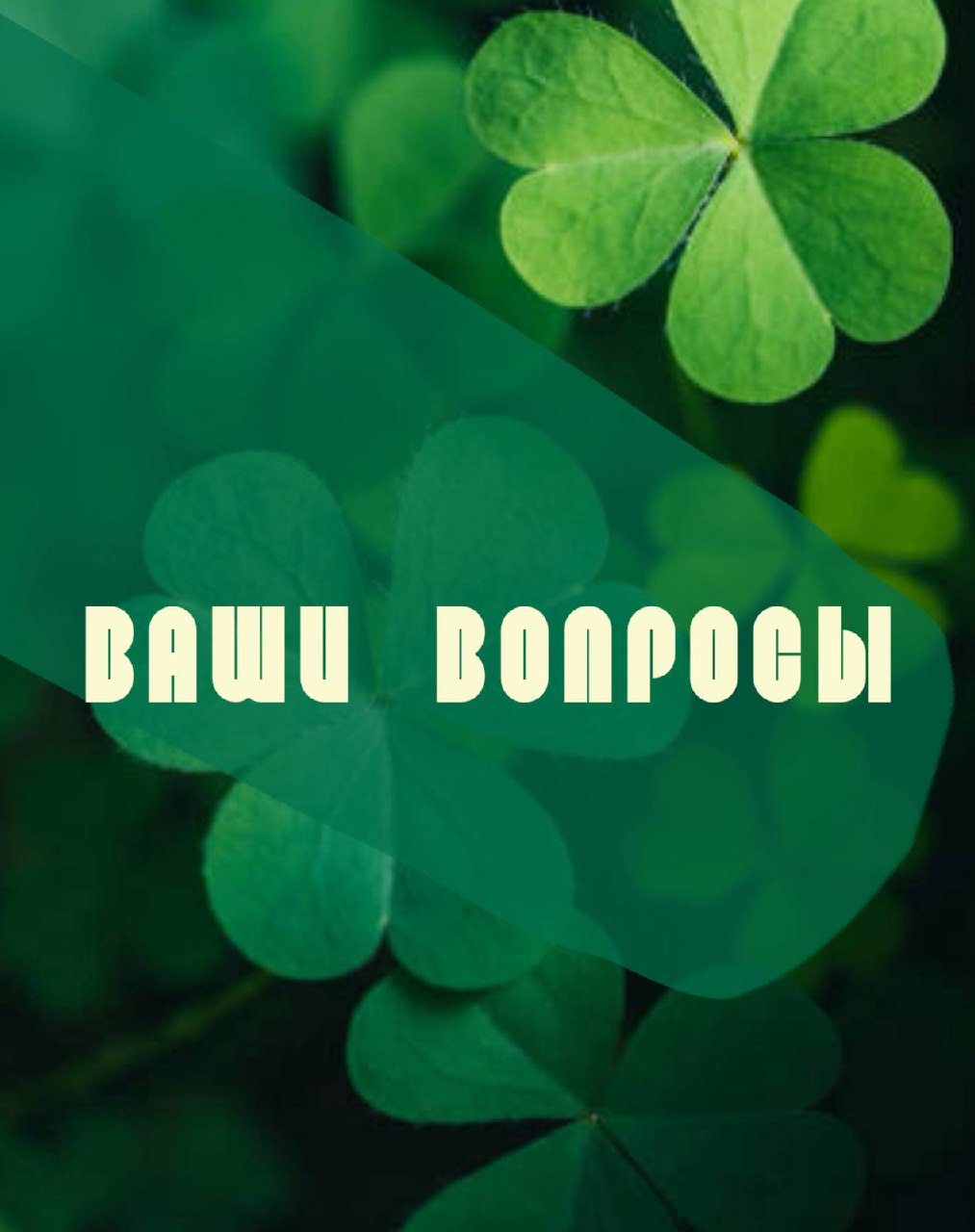 Вот и понедельник!
А это значит, стартует наша новая рубрика «Не вопрос!»
Правила нововведения очень простые:
1. Каждый понедельник я выкладываю пост и закрепляю его, под ним вы пишите свои вопросы.
2 | Сетка — социальная сеть от hh.ru