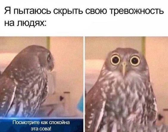 Mood-подборка мемов. И что вы мне сделаете?
С началом моего любимого времени года ♥️ | Сетка — социальная сеть от hh.ru