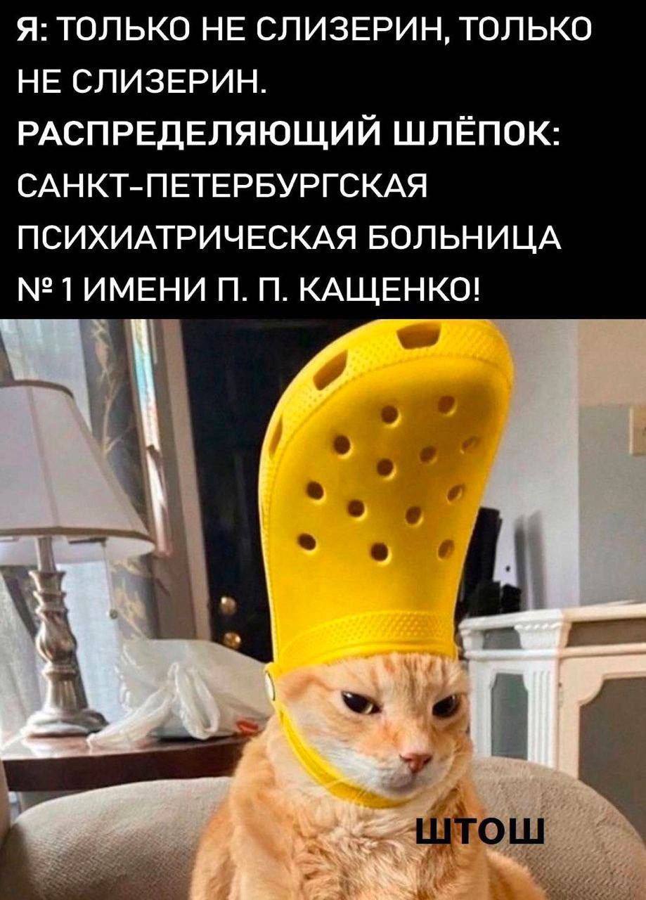 Mood-подборка мемов. И что вы мне сделаете?
С началом моего любимого времени года ♥️ | Сетка — социальная сеть от hh.ru