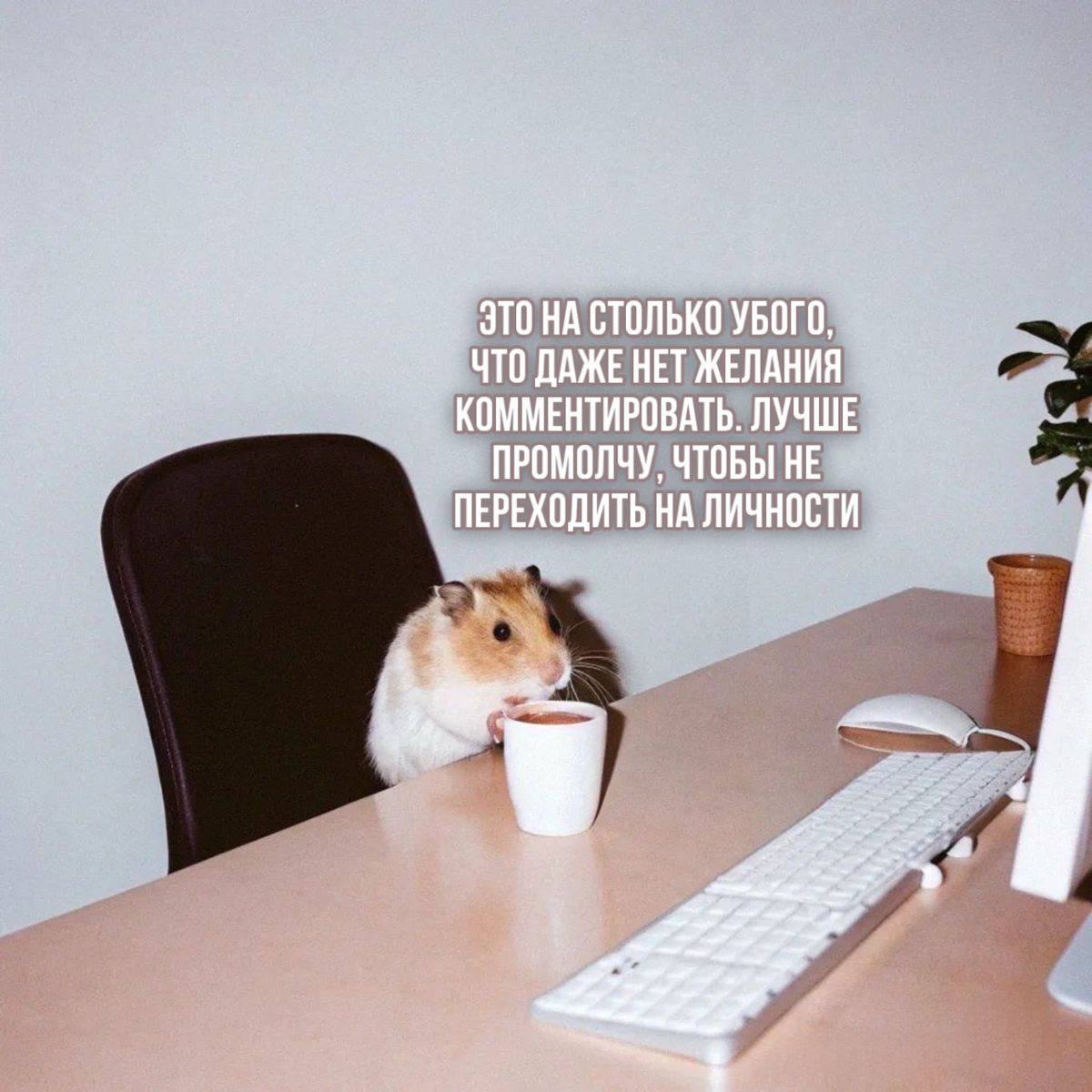 Mood-подборка мемов. И что вы мне сделаете?
С началом моего любимого времени года ♥️ | Сетка — социальная сеть от hh.ru