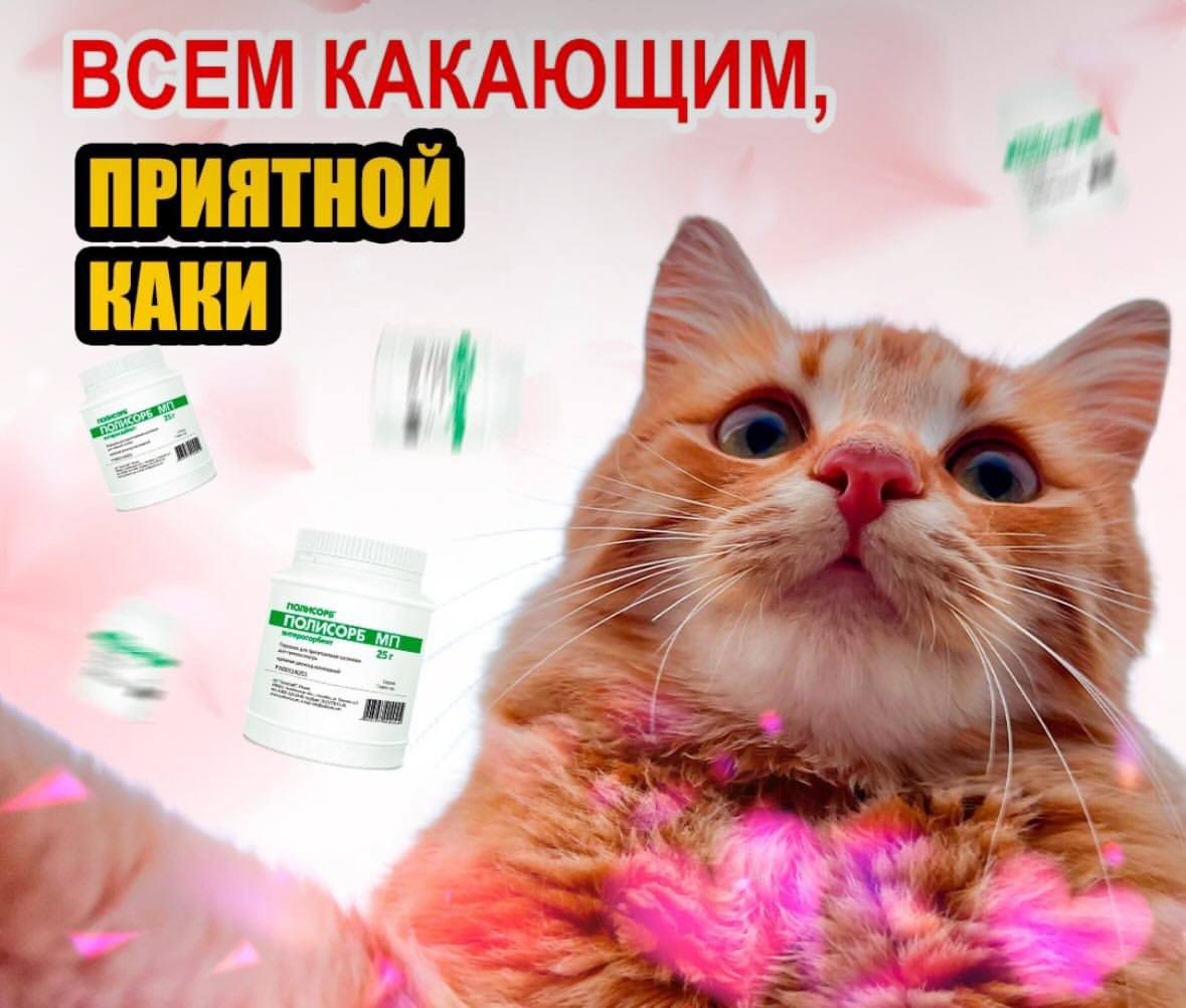 Сммщик Полисорба выкатил лучшую утреннюю открытку.
Отправляем тому, кто завтракает кофе с сигаретой 😌 | Сетка — социальная сеть от hh.ru