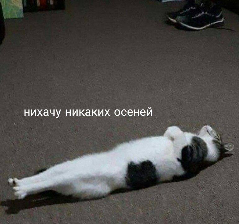 Всех с первым днем осени и днем знаний! 🍂
Вы рады, что осень наступила?
❤️ — Да
😢 — Нет
😁 — Без разницы
📲Подпишитесь на Вдвижении
В этом посте были ссылки, но мы их удалили по правилам Сетки | Сетка — социальная сеть от hh.ru