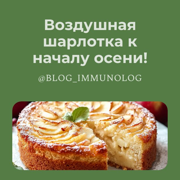 ✨ Воздушная шарлотка: рецепт к началу осени! ✨🍎
Друзья, сегодня я поделюсь своим любимым рецептом невероятно пышной и воздушной шарлотки! 😋 Этот десерт не только вкусный, но и поднимает настроение, а ... | Сетка — социальная сеть от hh.ru