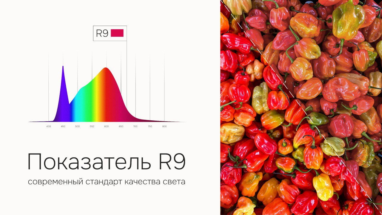 ✸ Цвет R9: современный стандарт качества света
Ra (или CRI) — привычный индекс цветопередачи, показывает, насколько естественно выглядят цвета под светом | Сетка — социальная сеть от hh.ru