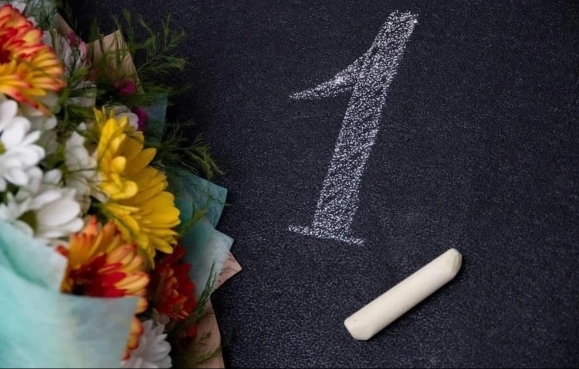 С Днем Знаний! Подарки от MiriSlide | Сетка — социальная сеть от hh.ru