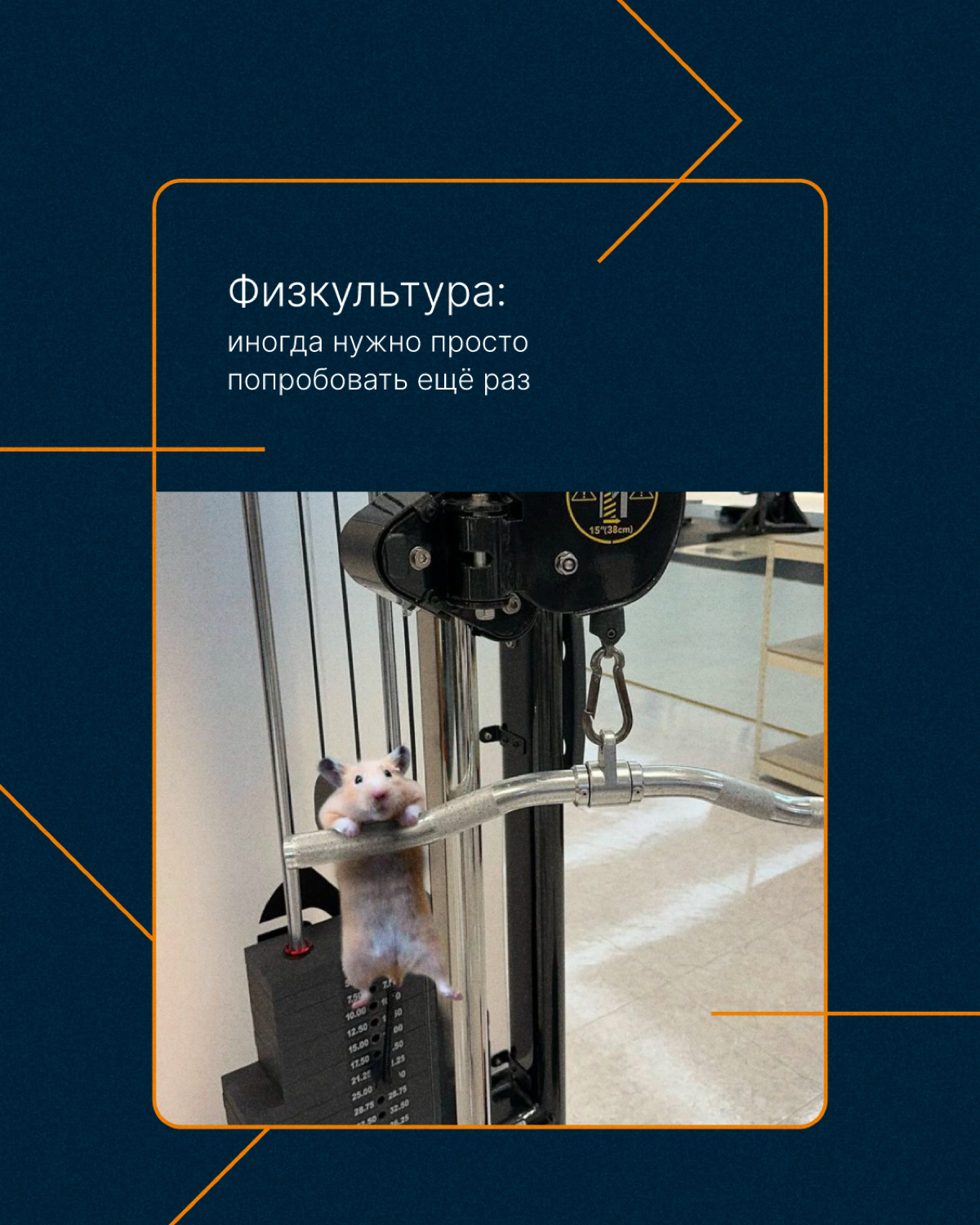 Отмечаем 1 сентября и  вспоминаем школьные годы🍁 | Сетка — социальная сеть от hh.ru