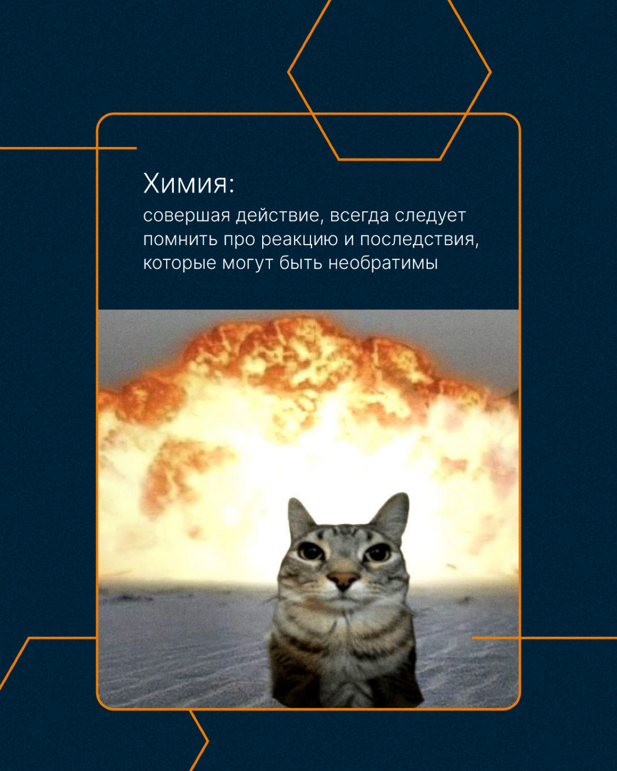 Отмечаем 1 сентября и  вспоминаем школьные годы🍁 | Сетка — социальная сеть от hh.ru