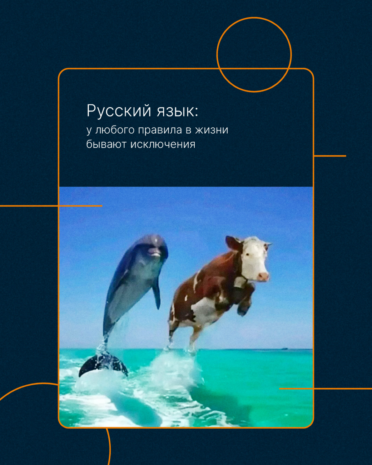 Отмечаем 1 сентября и  вспоминаем школьные годы🍁 | Сетка — социальная сеть от hh.ru