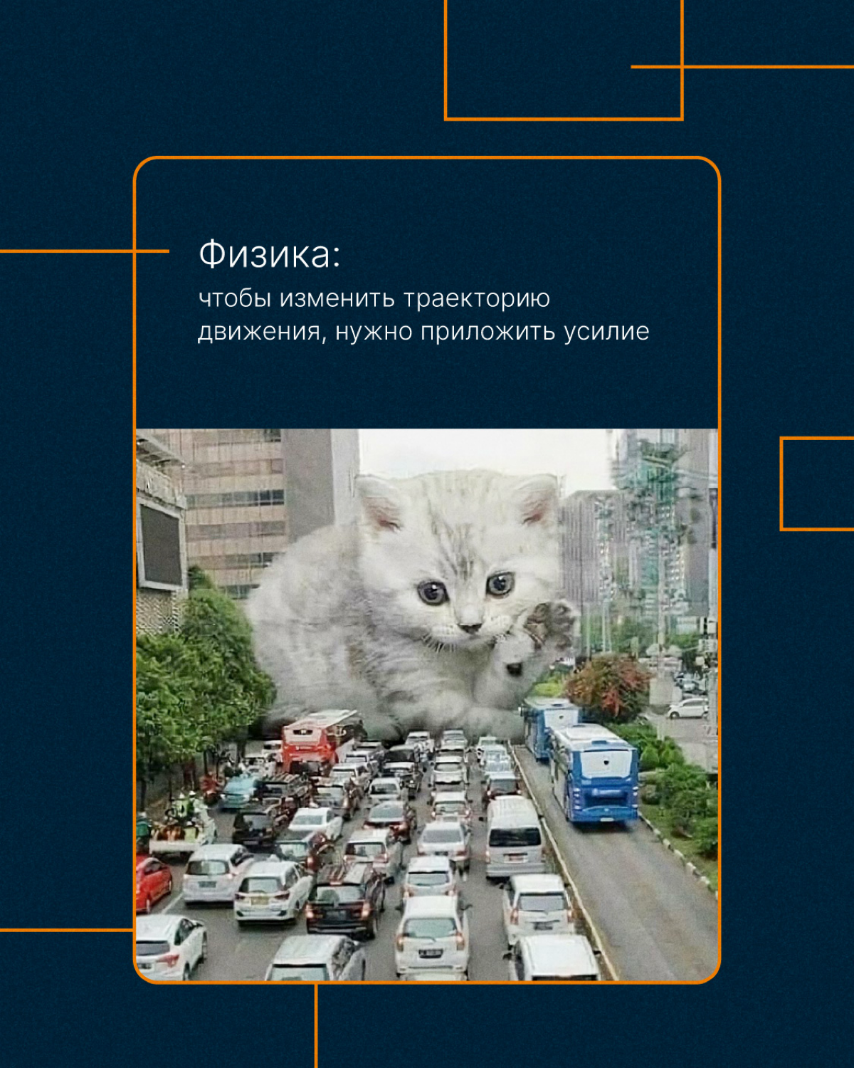 Отмечаем 1 сентября и  вспоминаем школьные годы🍁 | Сетка — социальная сеть от hh.ru