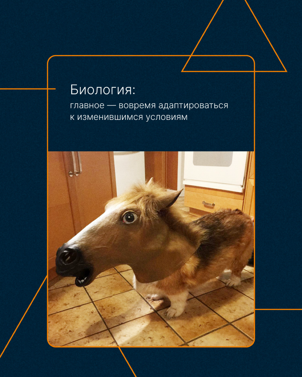 Отмечаем 1 сентября и  вспоминаем школьные годы🍁 | Сетка — социальная сеть от hh.ru