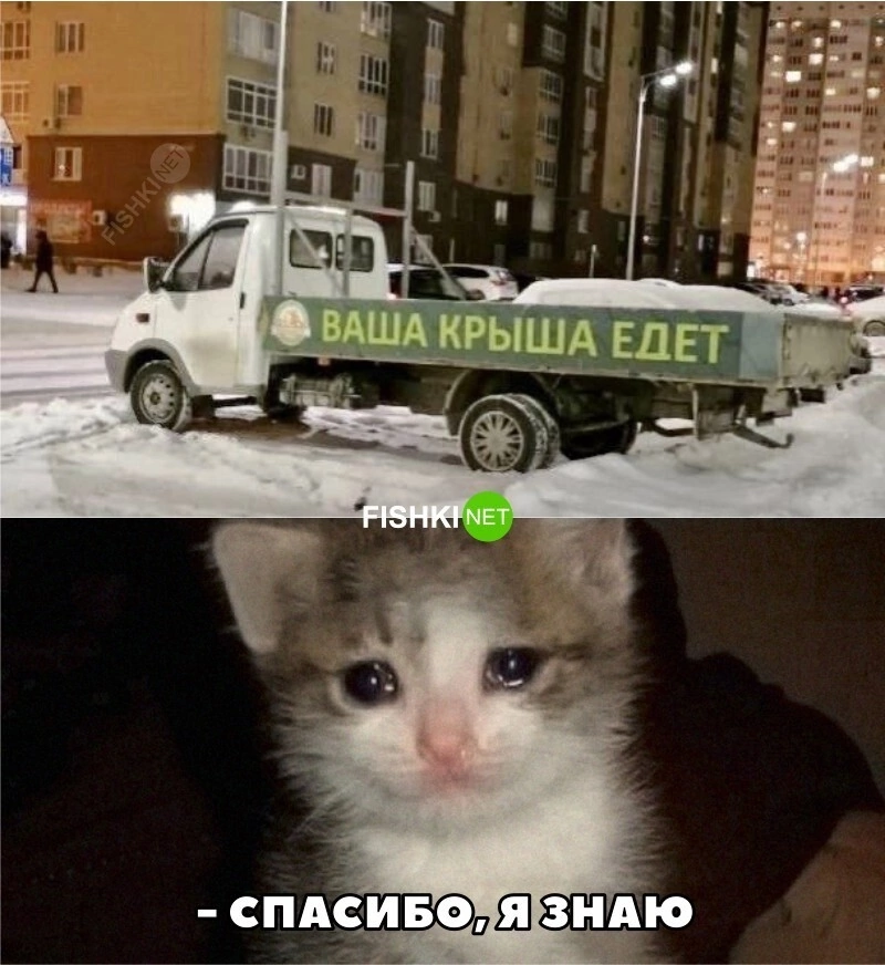 На старт, внимание, марш: марафон осеннего сезона открыт | Сетка — социальная сеть от hh.ru