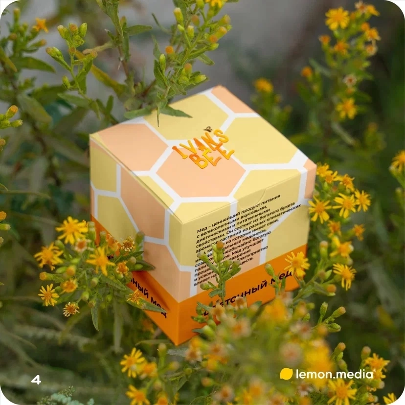 Логотип для компании «IVANS BEE» | Сетка — социальная сеть от hh.ru