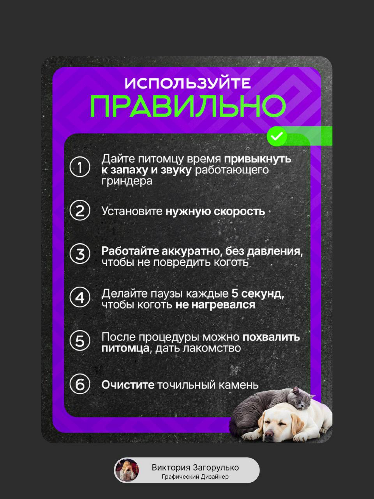 Инфографика| Гриндер для животных | Сетка — социальная сеть от hh.ru