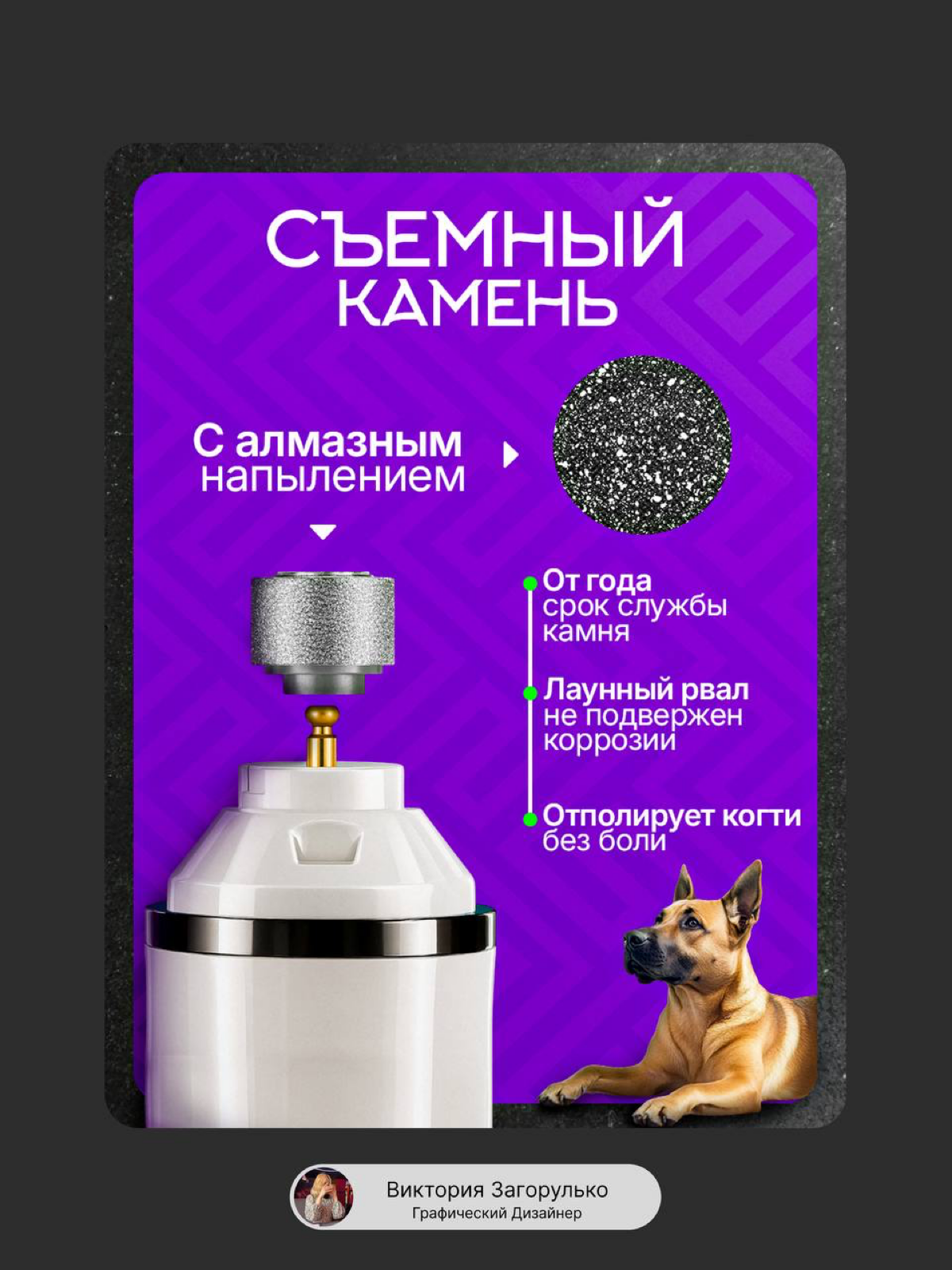 Инфографика| Гриндер для животных | Сетка — социальная сеть от hh.ru