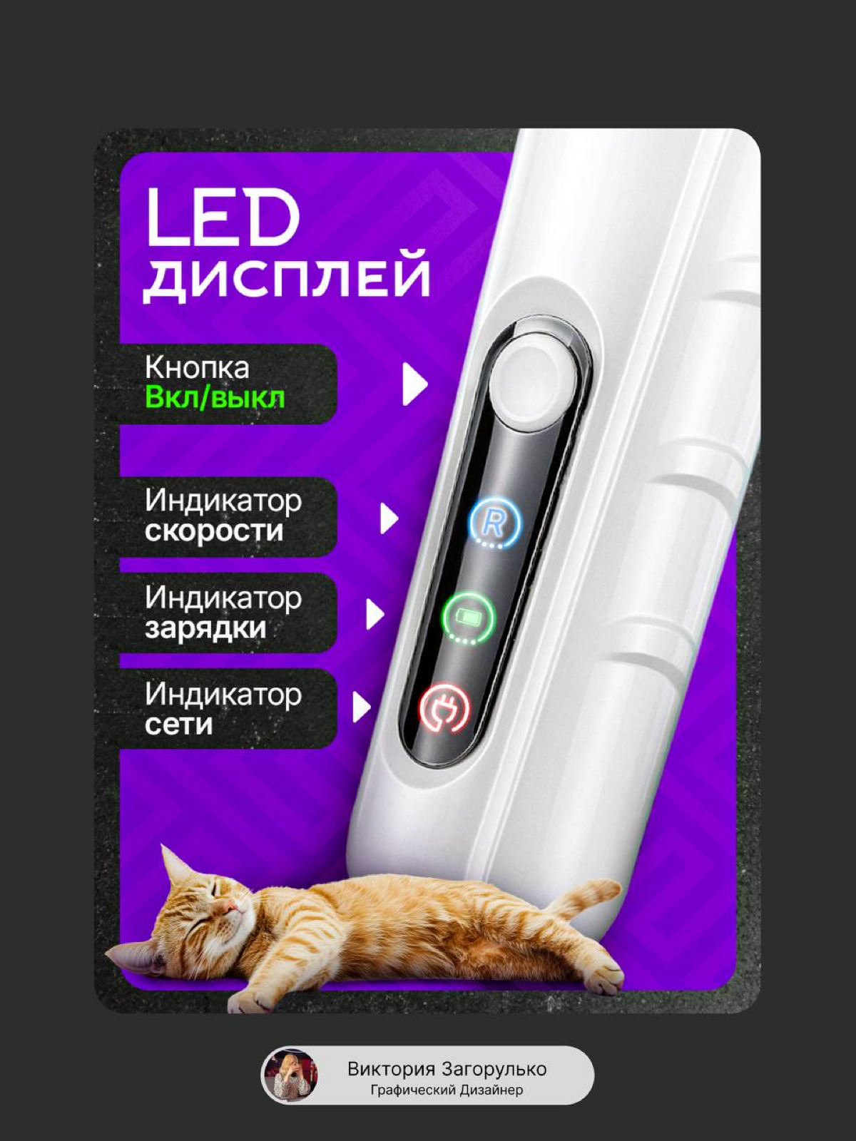 Инфографика| Гриндер для животных | Сетка — социальная сеть от hh.ru