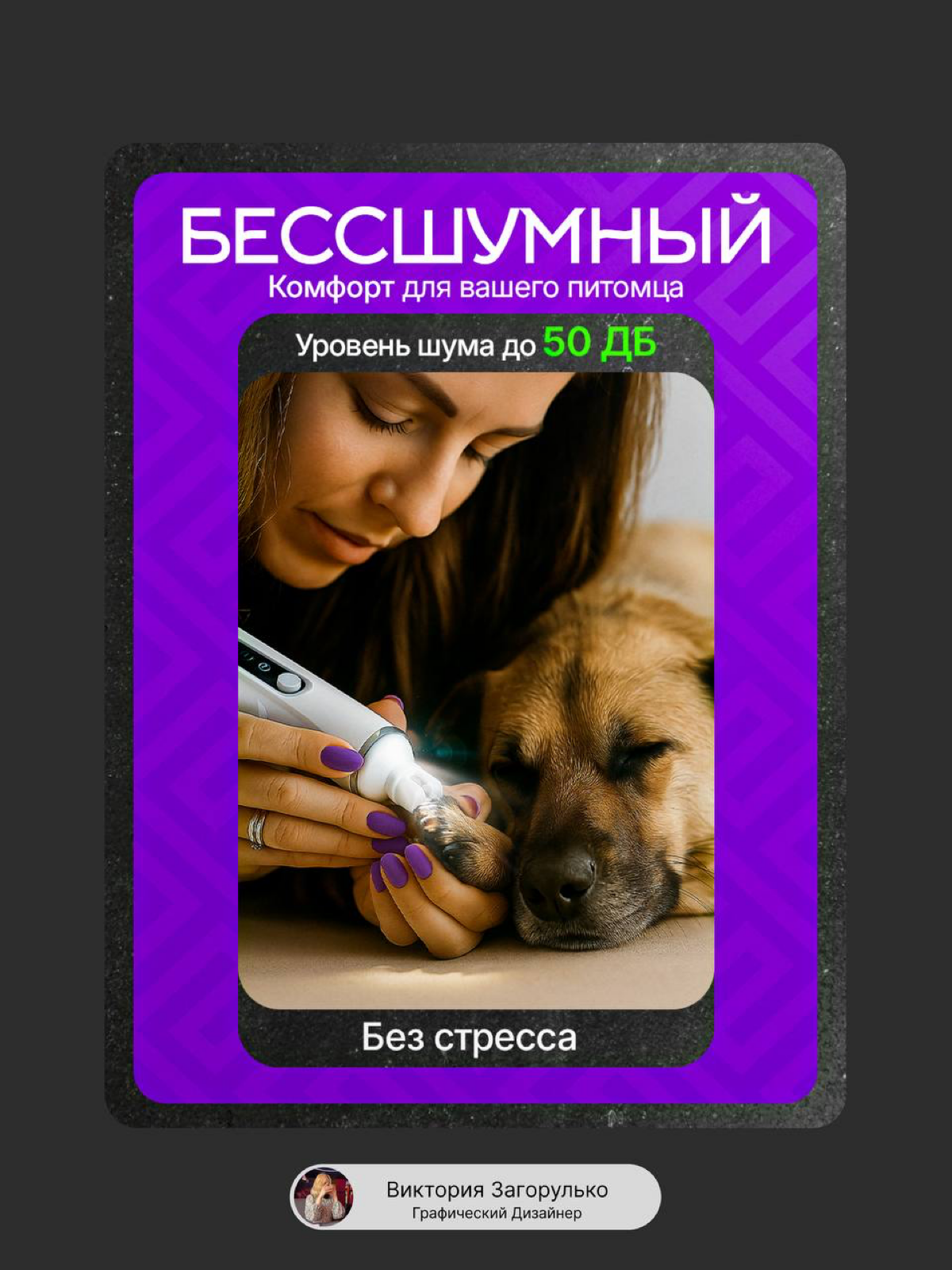 Инфографика| Гриндер для животных | Сетка — социальная сеть от hh.ru