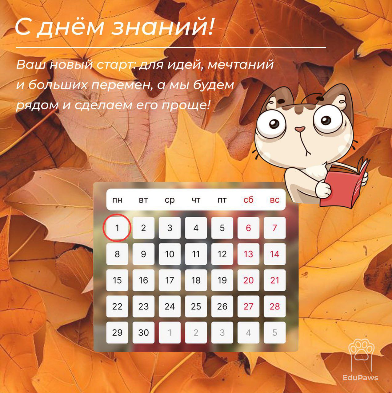 ✨ С Днём знаний! ✨
1 сентября — это не просто начало учебного года.
Это новый старт: для идей, мечтаний и больших перемен | Сетка — социальная сеть от hh.ru