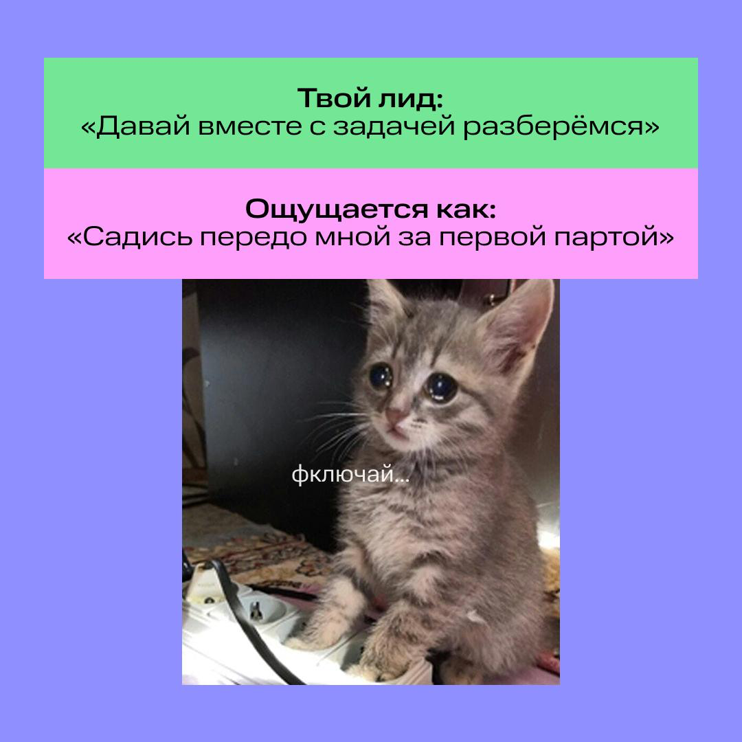 Закрываем тетради и достаём двойные листочки… 🙄 | Сетка — социальная сеть от hh.ru