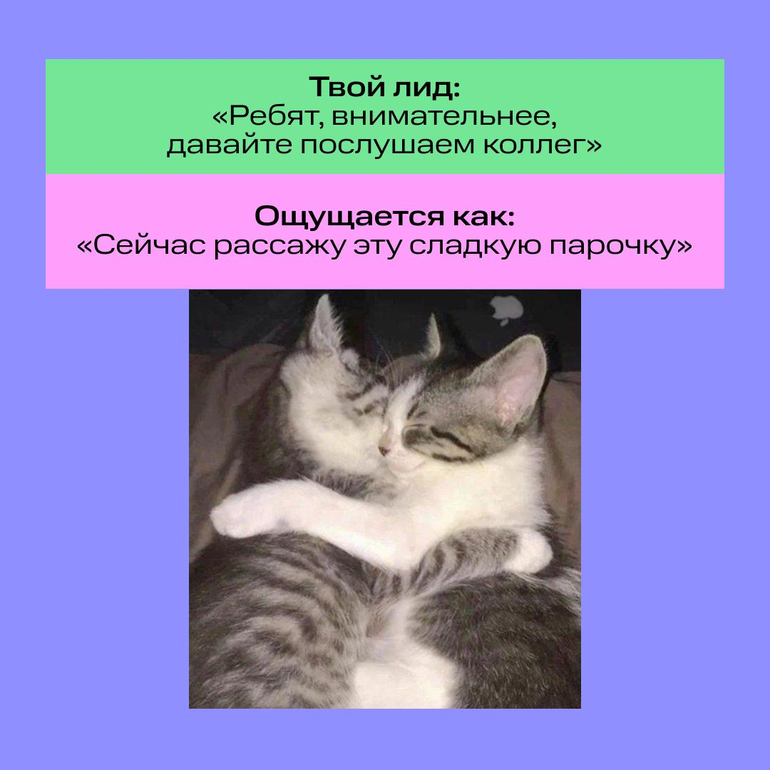 Закрываем тетради и достаём двойные листочки… 🙄 | Сетка — социальная сеть от hh.ru