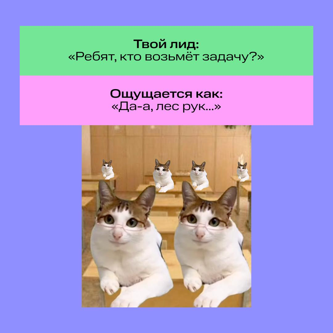 Закрываем тетради и достаём двойные листочки… 🙄 | Сетка — социальная сеть от hh.ru