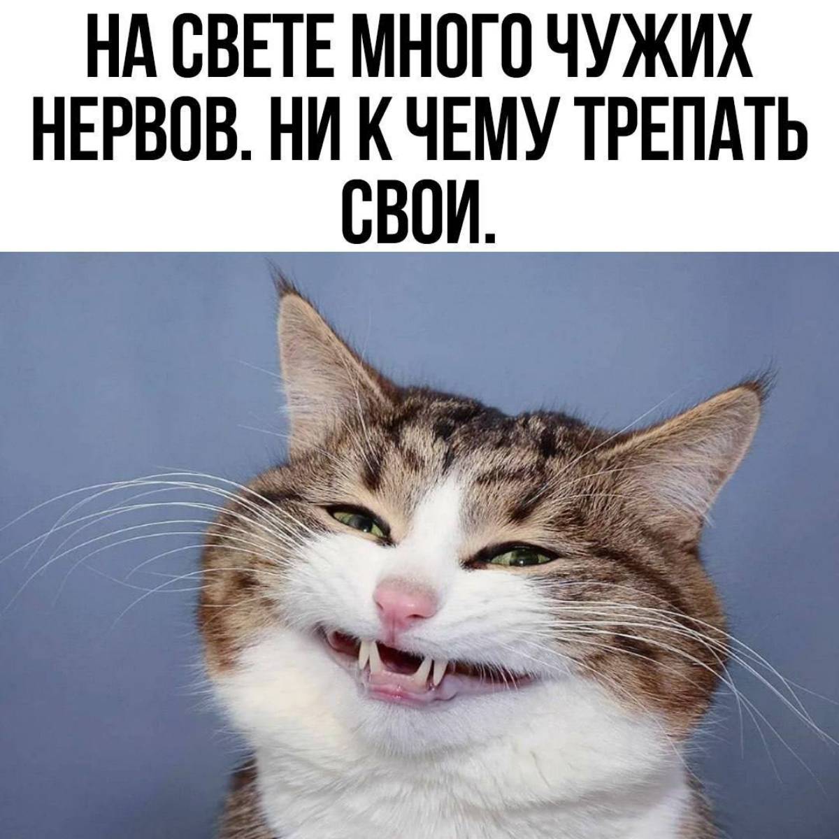 Николай Звягин