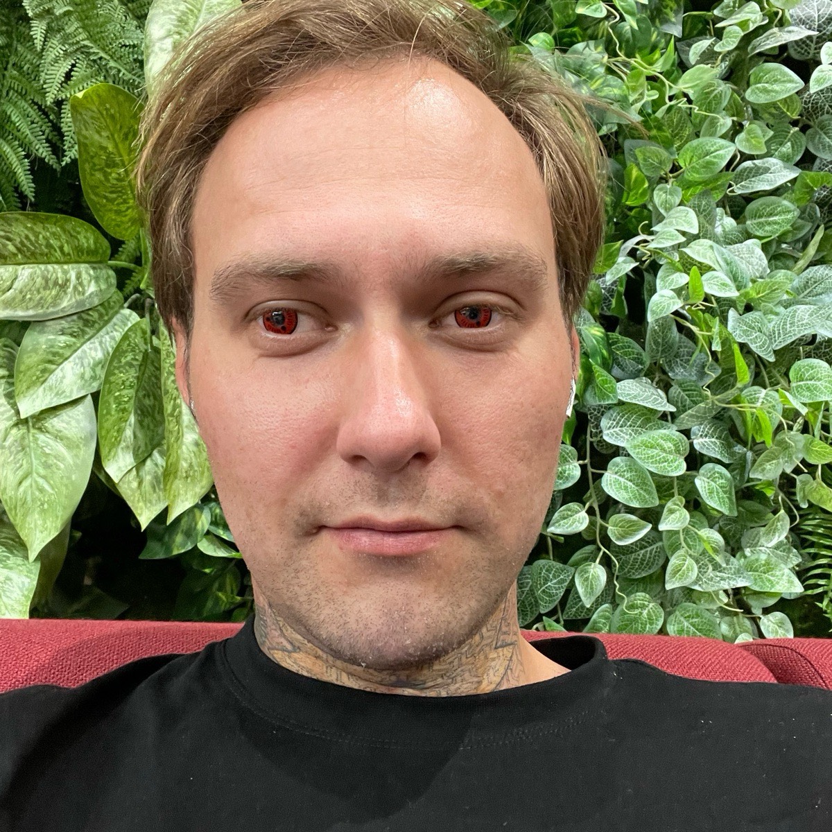 Network member avatar