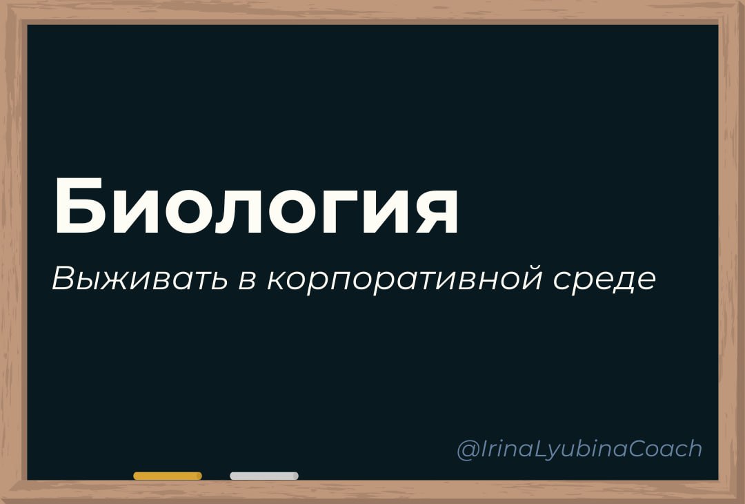 К чему на самом деле нас готовили в школе
Нас учили многому: буквы разные писать, вычитать и умножать, малышей не обижать… Оказывается, школьные предметы помогают взрослым строить карьеру | Сетка — социальная сеть от hh.ru