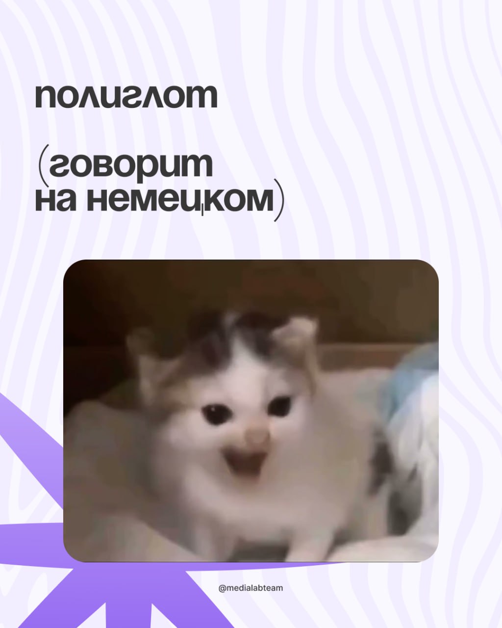 🙈 Коллеги, просим просим прощения за позднее включение — мы смотрели и подбирали мемы для студентов-медийщиков специально к 1 сентября.
И теперь делимся с вами — смотрите карточки! 👐
@medialabteam 🤍 | Сетка — социальная сеть от hh.ru