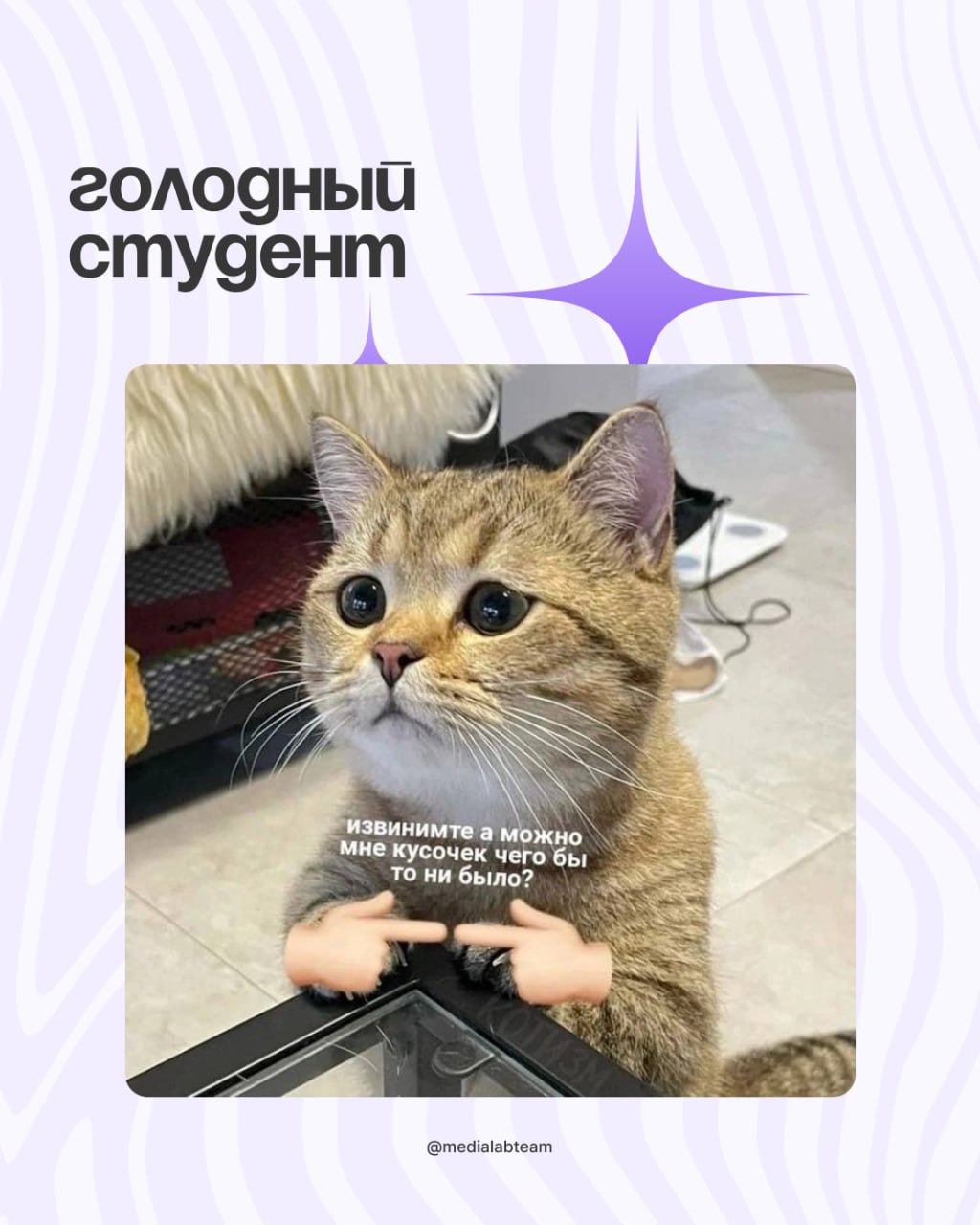 🙈 Коллеги, просим просим прощения за позднее включение — мы смотрели и подбирали мемы для студентов-медийщиков специально к 1 сентября.
И теперь делимся с вами — смотрите карточки! 👐
@medialabteam 🤍 | Сетка — социальная сеть от hh.ru