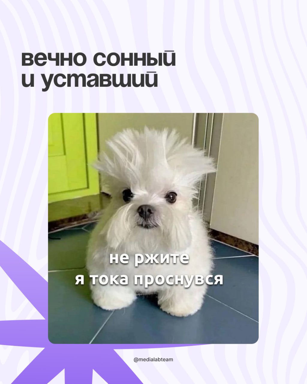 🙈 Коллеги, просим просим прощения за позднее включение — мы смотрели и подбирали мемы для студентов-медийщиков специально к 1 сентября.
И теперь делимся с вами — смотрите карточки! 👐
@medialabteam 🤍 | Сетка — социальная сеть от hh.ru