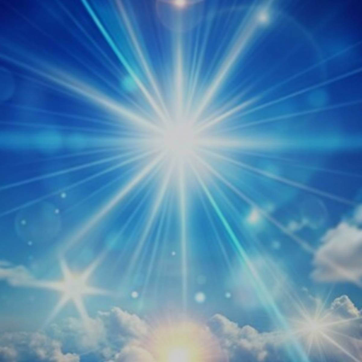 Vital Tom | Сетка — социальная сеть от hh.ru