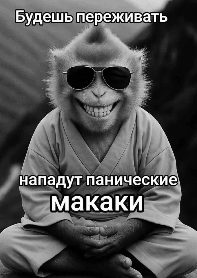 Не переживай — подпишись 👇😅 | Сетка — социальная сеть от hh.ru