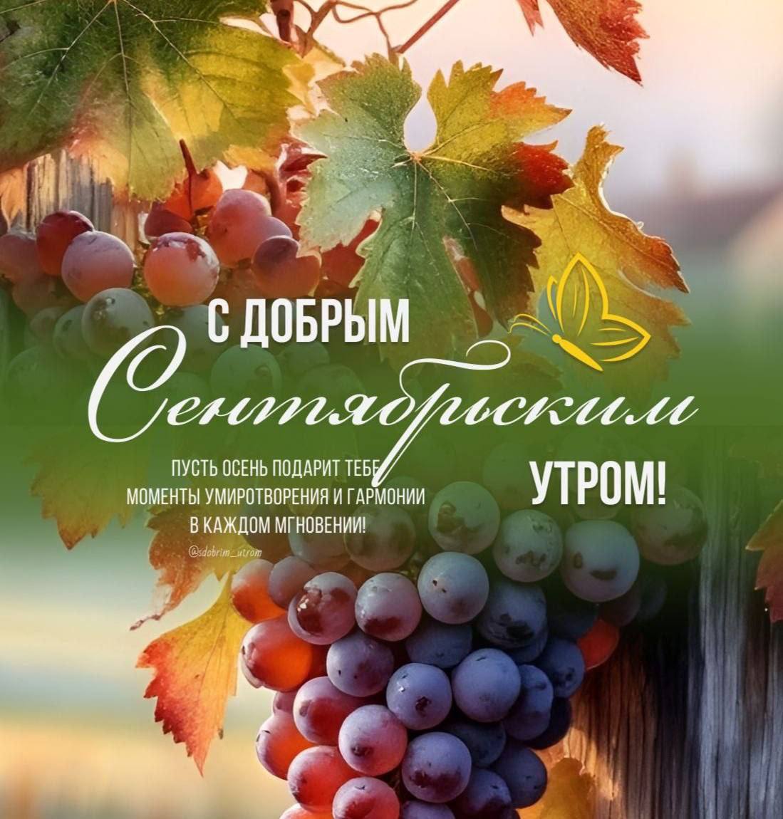 Доброе утро, ставропольцы! | Сетка — социальная сеть от hh.ru