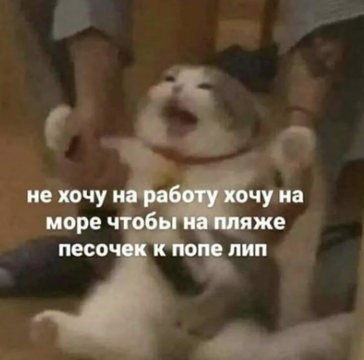Почему именно вы? | Сетка — социальная сеть от hh.ru