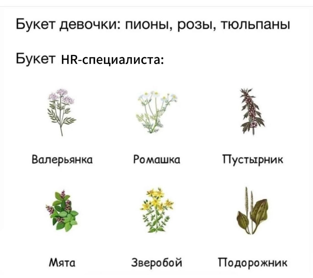 Для кого жиза, стараемся дышать и не сдаваться 😁 | Сетка — социальная сеть от hh.ru