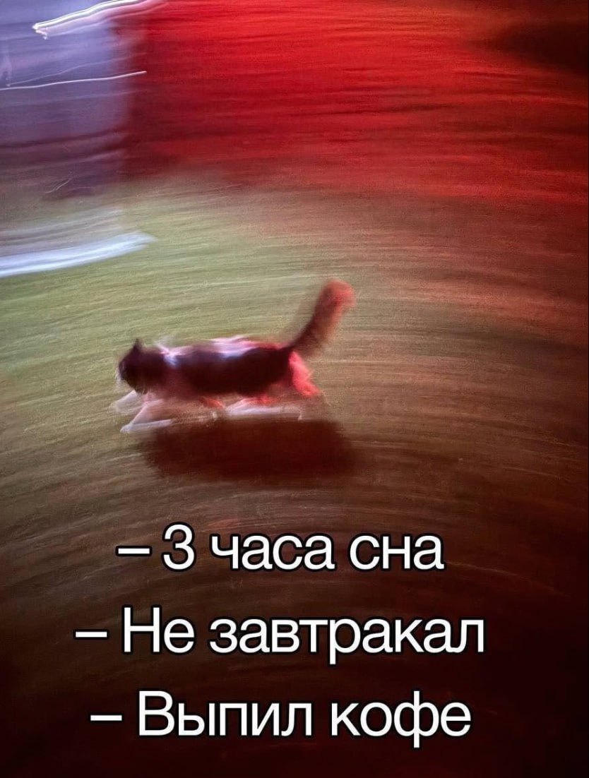 как начало дня, коллеги? | Сетка — социальная сеть от hh.ru