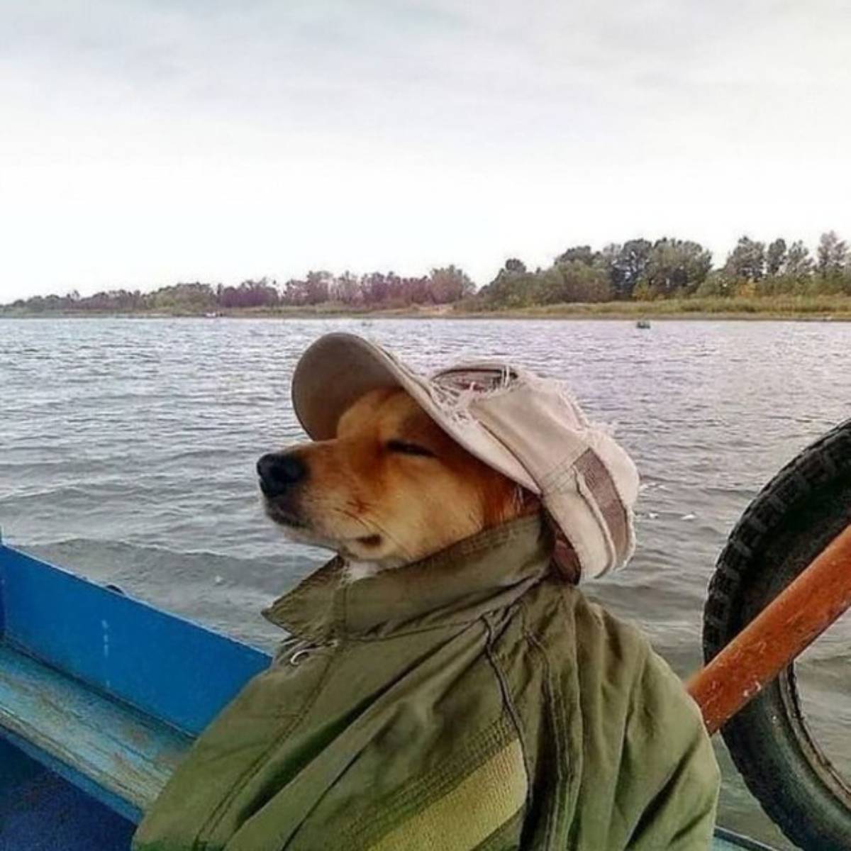 Артём Мирзоян | Сетка — социальная сеть от hh.ru