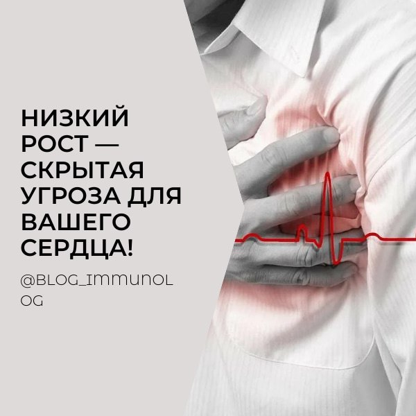 🚨 ШОК! Низкий рост — скрытая угроза для вашего сердца!💔 🚨
Друзья, сегодня обсудим тему, которая, возможно, вас удивит! Ученые выяснили, что люди маленького роста находятся в группе повышенного риска с... | Сетка — социальная сеть от hh.ru