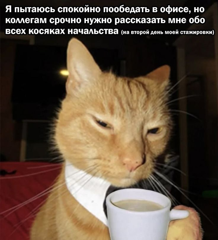4 главные проблемы наставничества | Сетка — социальная сеть от hh.ru