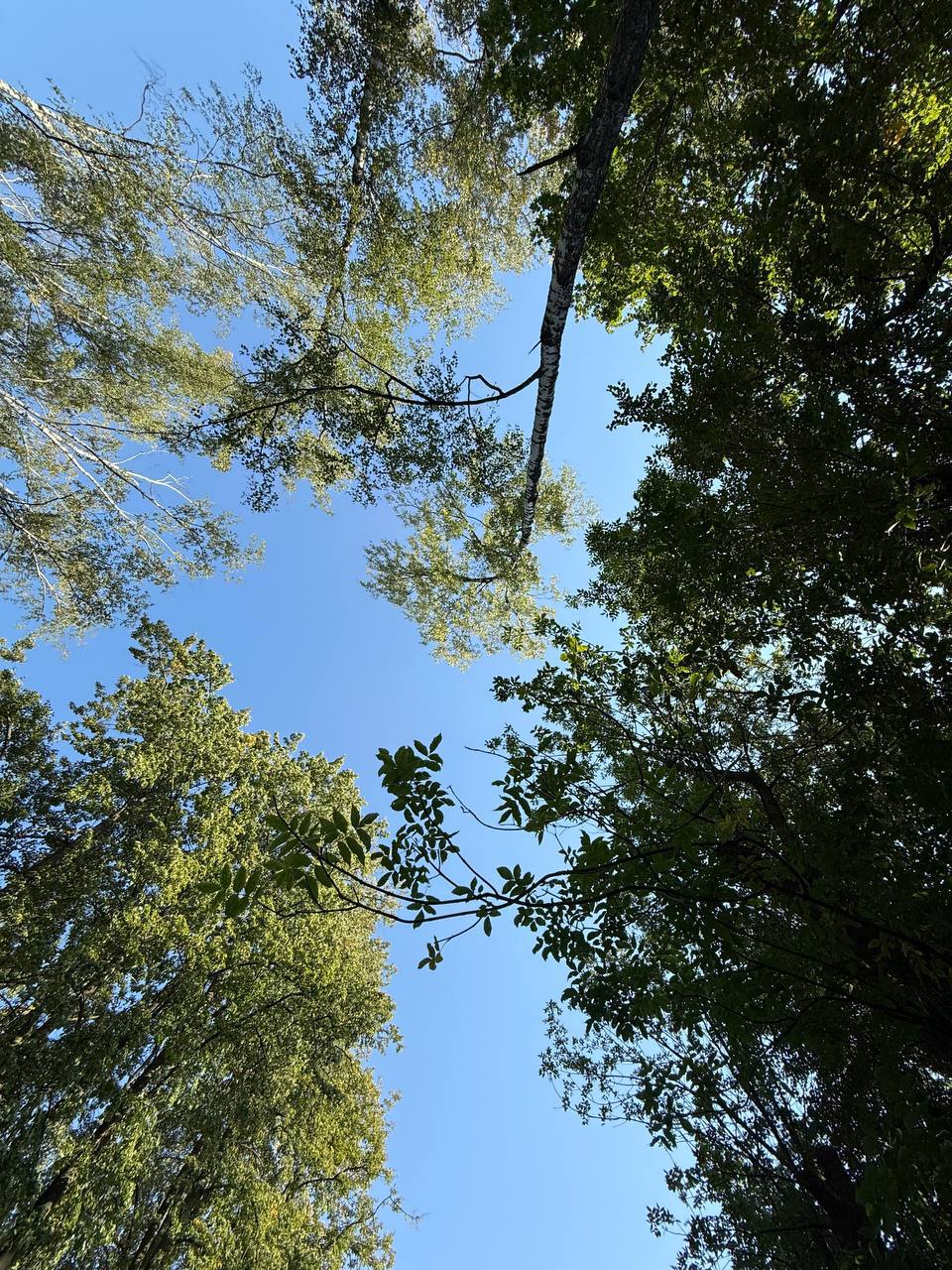 Чё происходит? 🍃
Последние пару недель я почти ничего не писала, и не потому что «нечего сказать», а потому что всё внимание ушло в жизнь | Сетка — социальная сеть от hh.ru