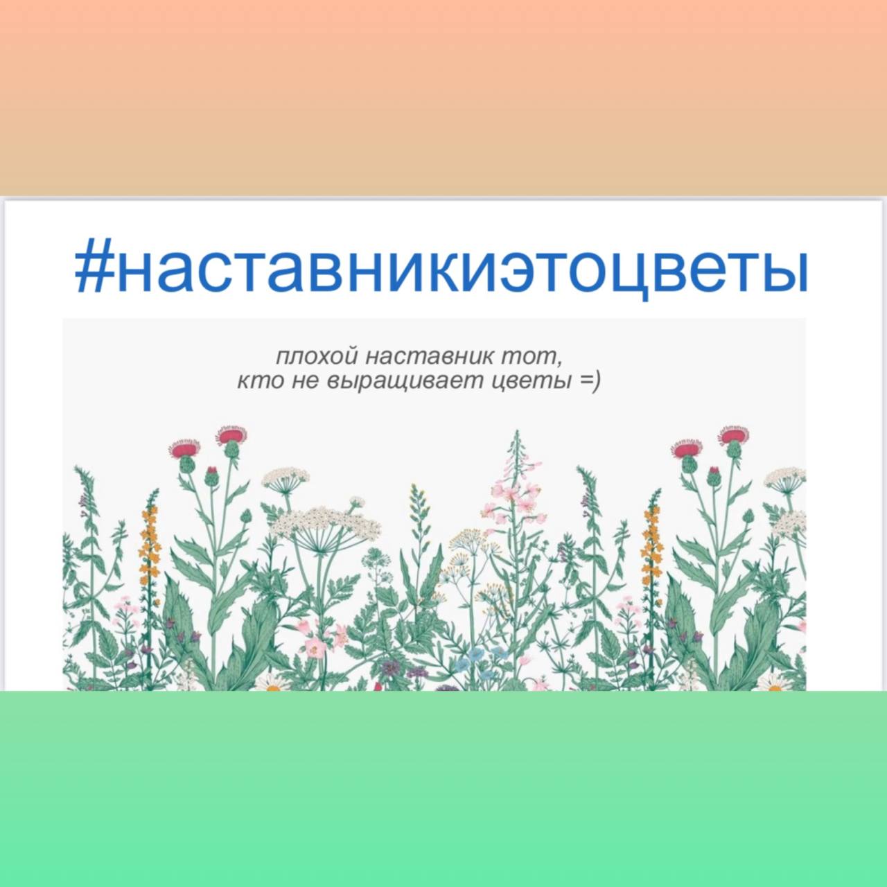 Что общего между Садоводством и Наставничеством?
Как оказалось, многое 😁
Совет наставников CU копает глубоко и ведёт работу над настоящей кейс-книгой:
👢 практической, местами ироничной,
💺 с упоминание... | Сетка — социальная сеть от hh.ru