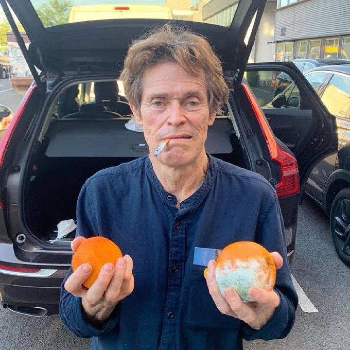 Артём Осипов | Сетка — социальная сеть от hh.ru