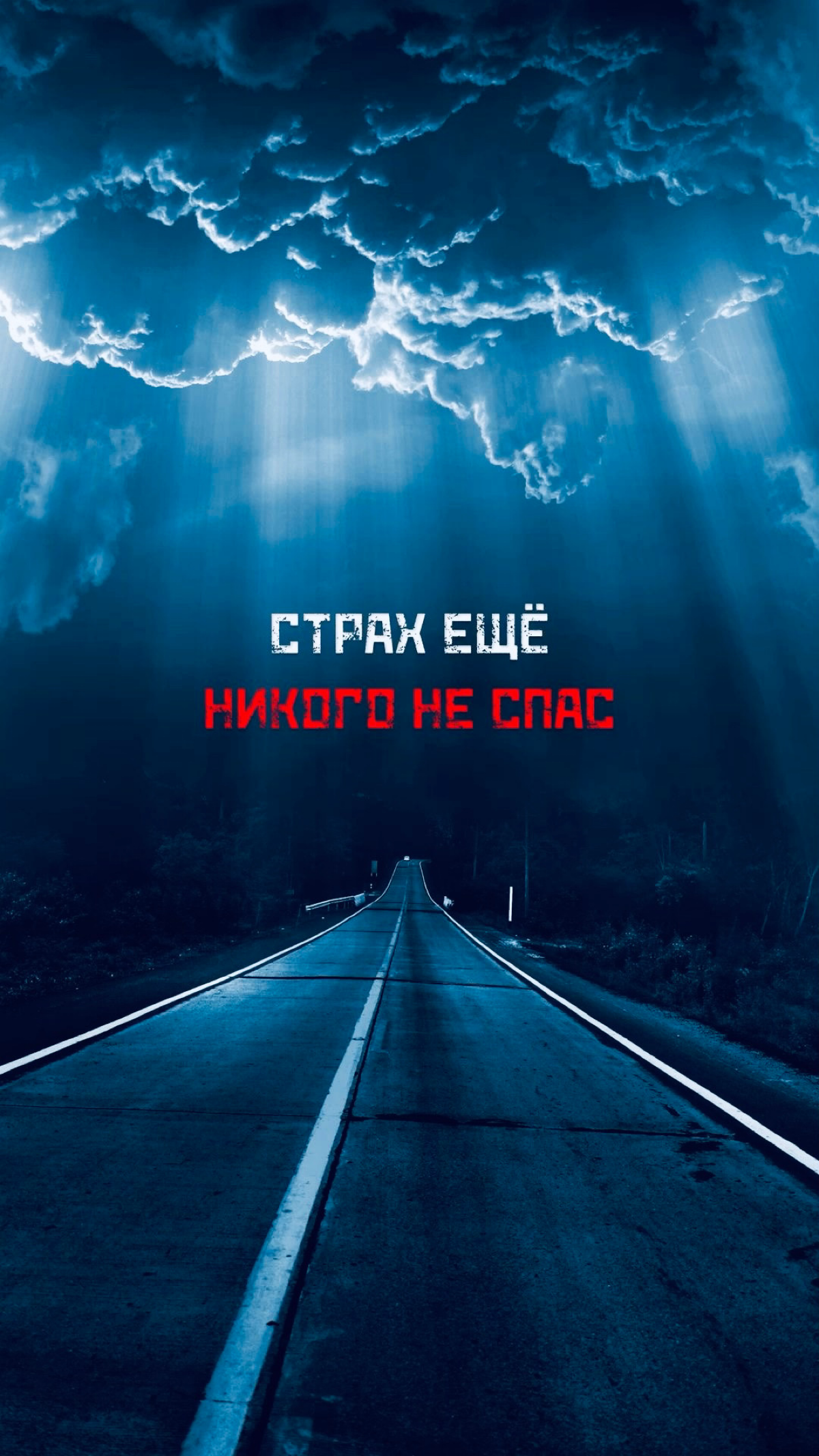 Обои | Сетка — социальная сеть от hh.ru