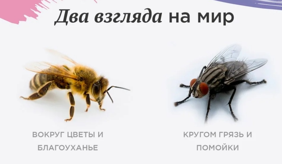 ФОКУСИРОВКА "ПРОБЛЕМА - РЕШЕНИЕ" | Сетка — социальная сеть от hh.ru