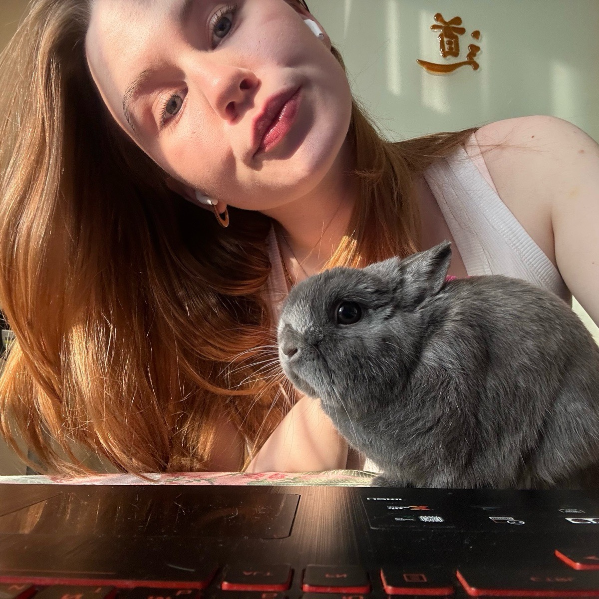 Полина Драенко