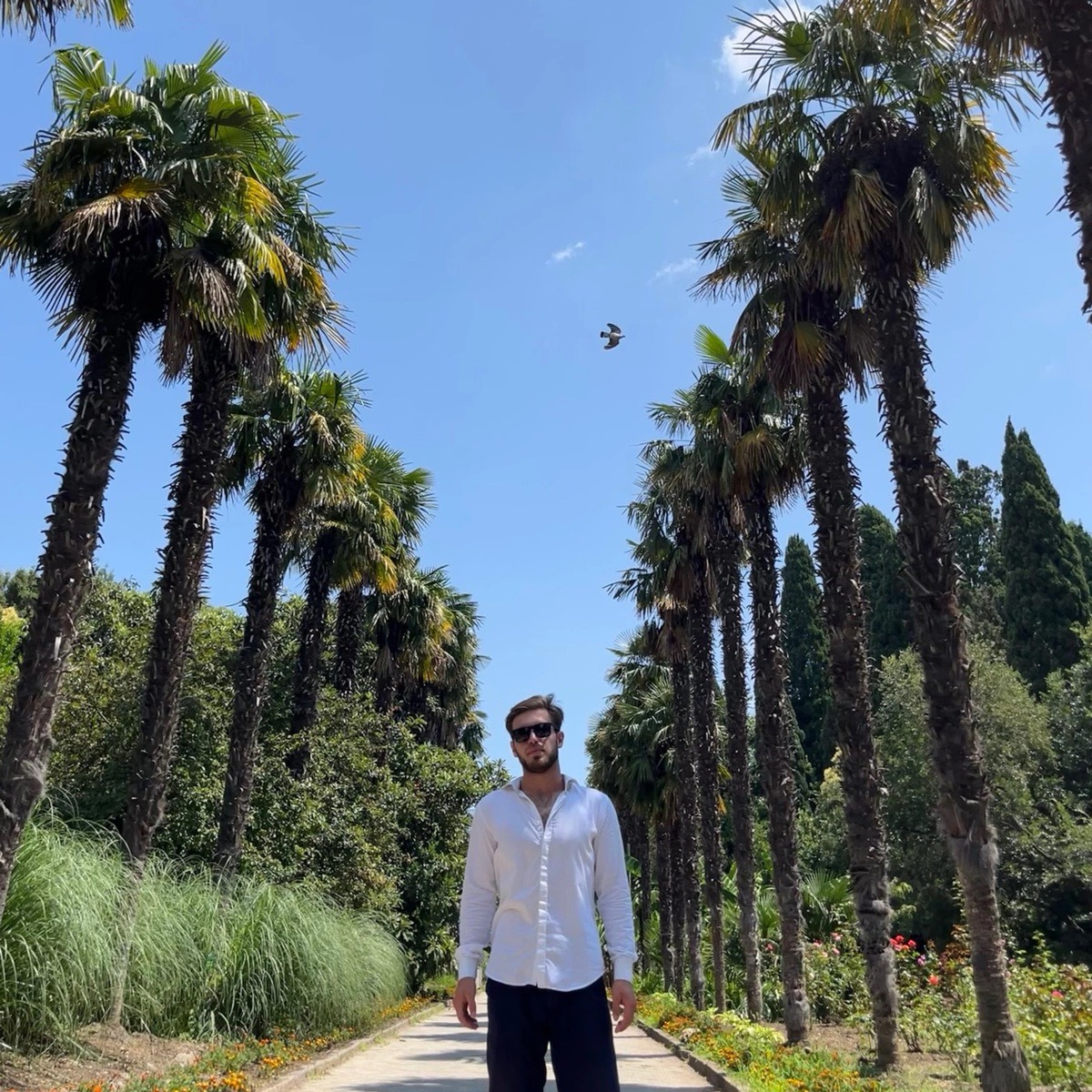 profile avatar
